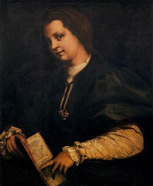 Andrea del Sarto Portrait of a Lady with a Book